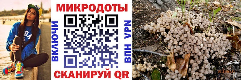 Псилоцибиновые грибы Psilocybe  что такое   Аша 